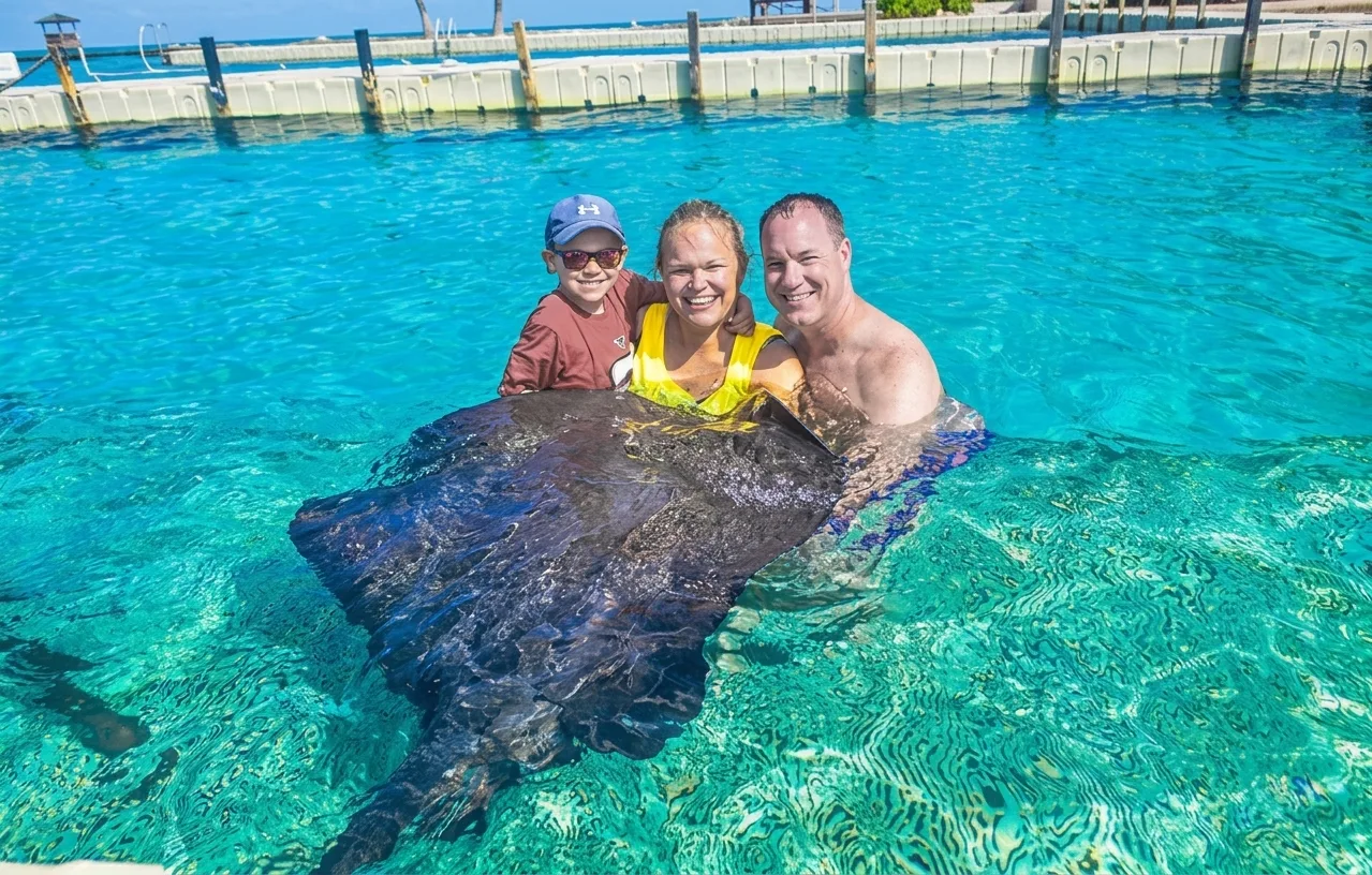 Stingrays