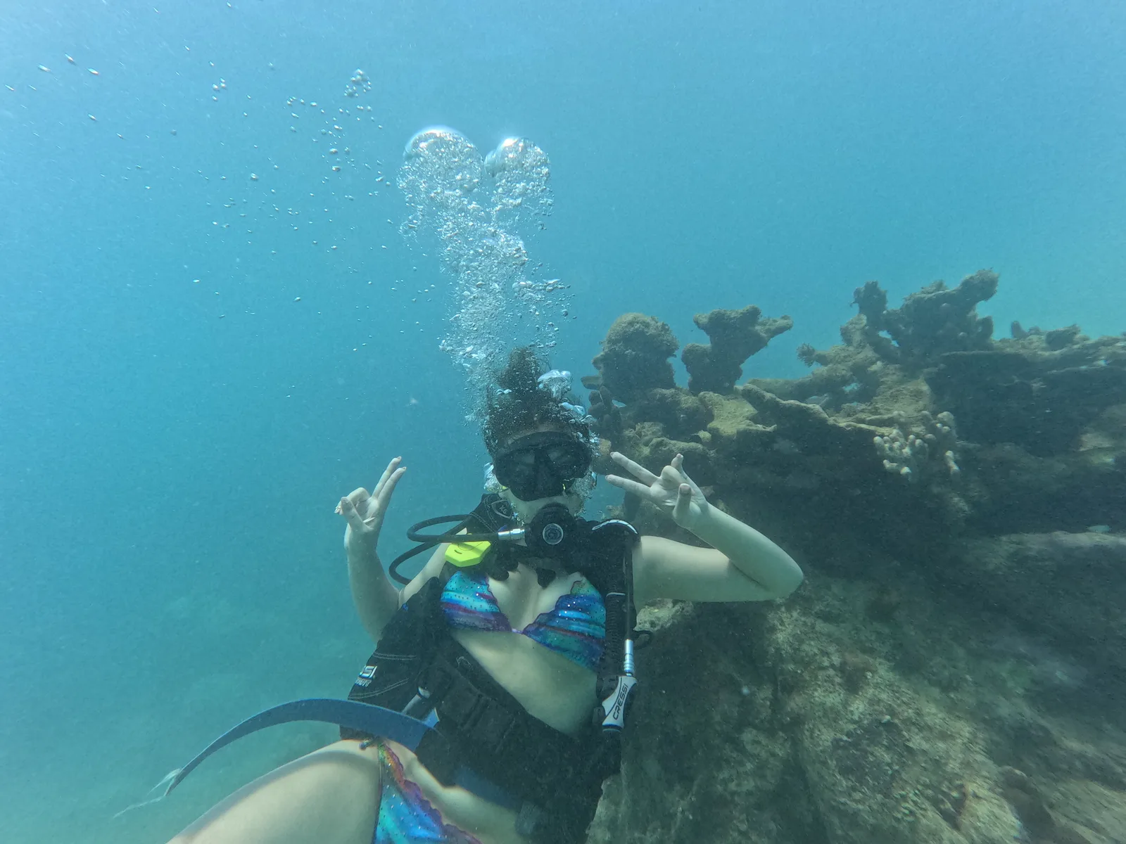 BUCEO EN MICHEES
