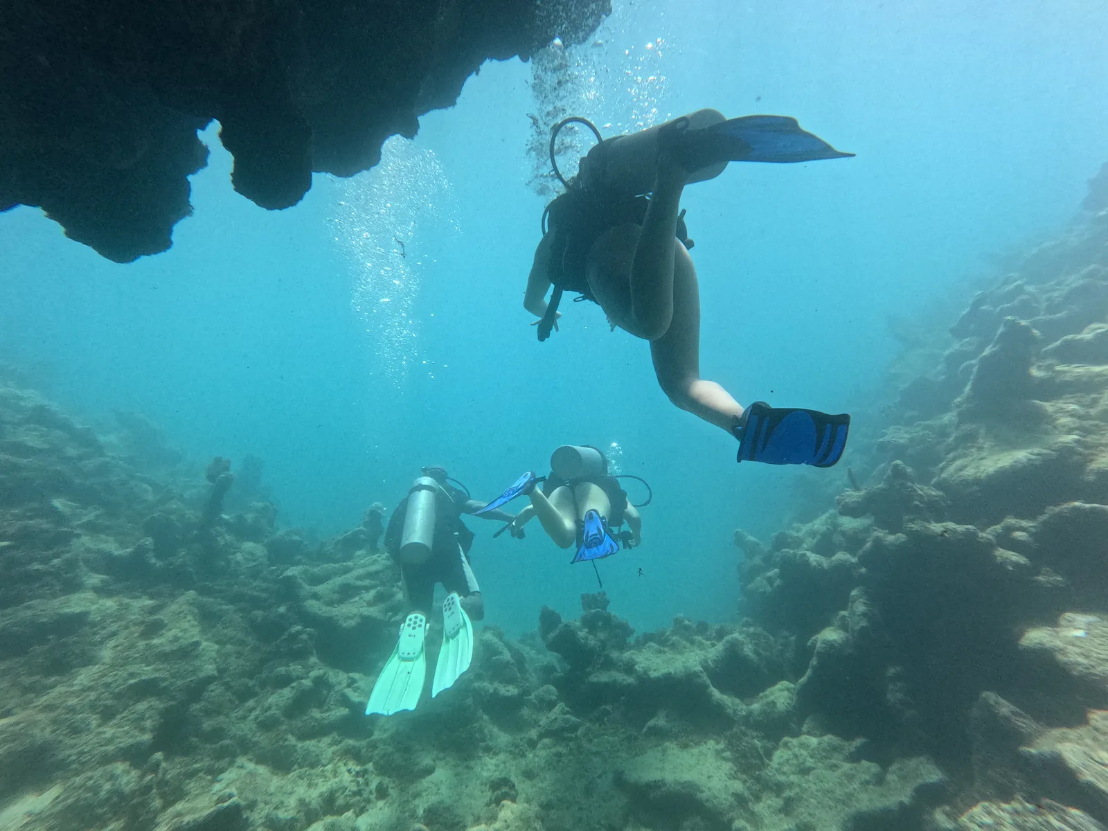 BUCEO MICHES
