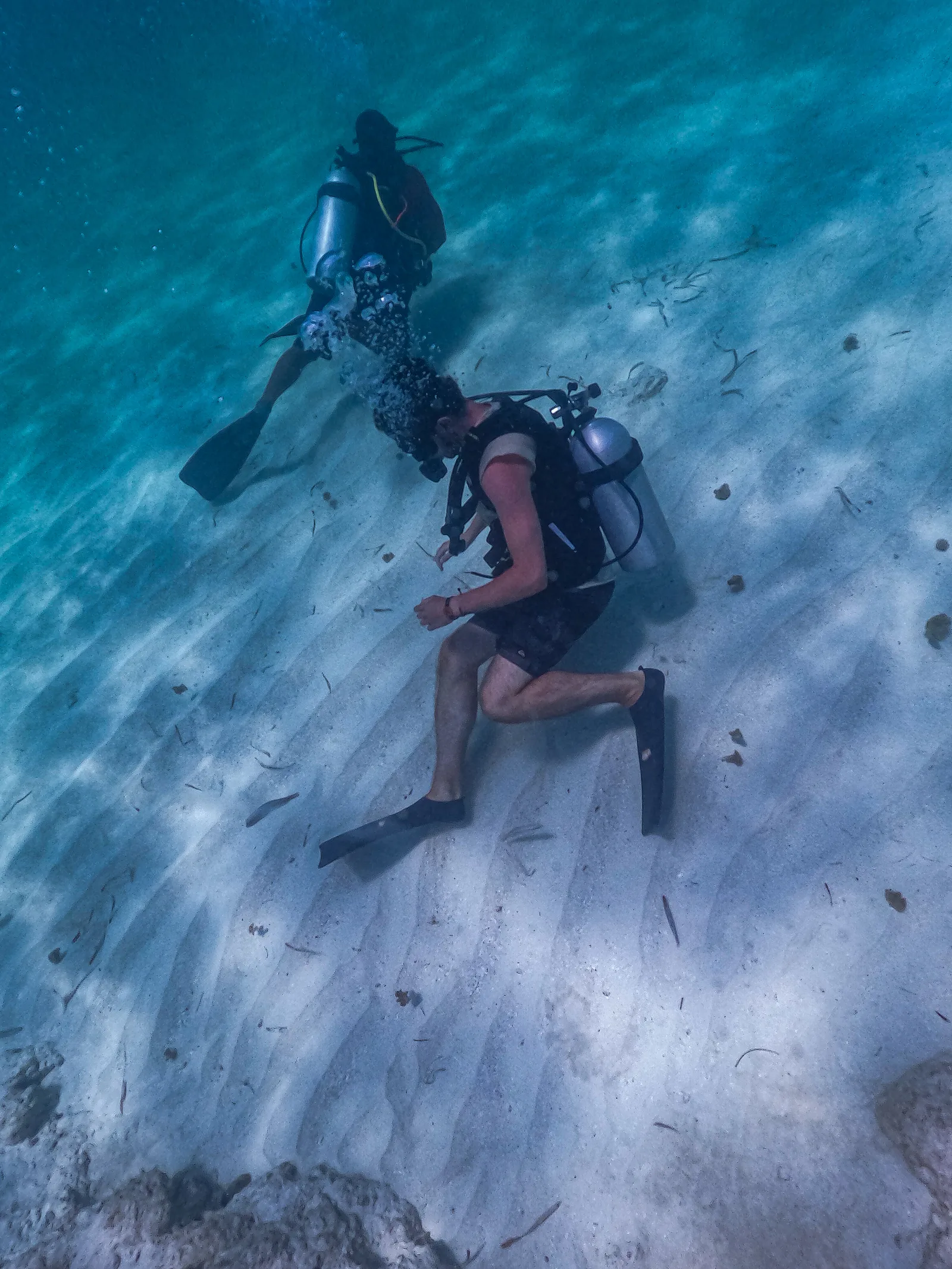 BUCEO MICHES