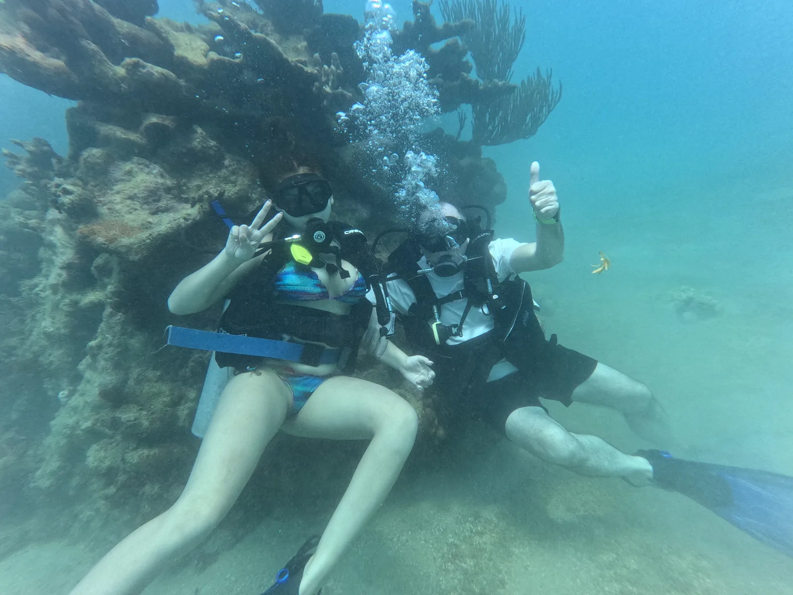 BUCEO MICHES