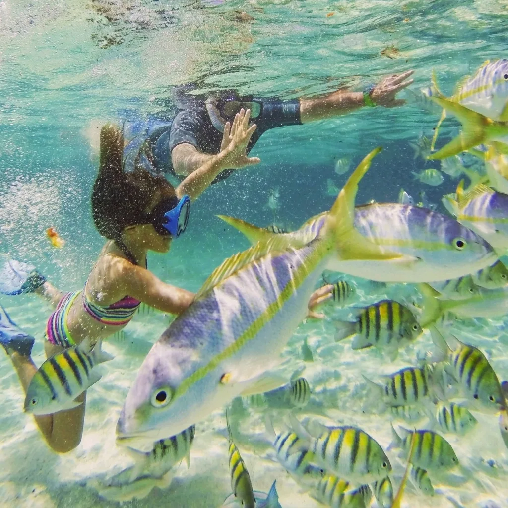 Isla Paraiso