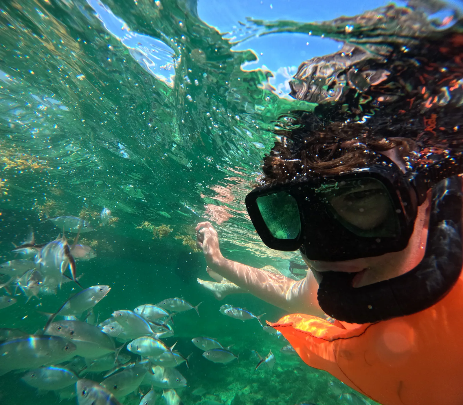 Sosua snorkel