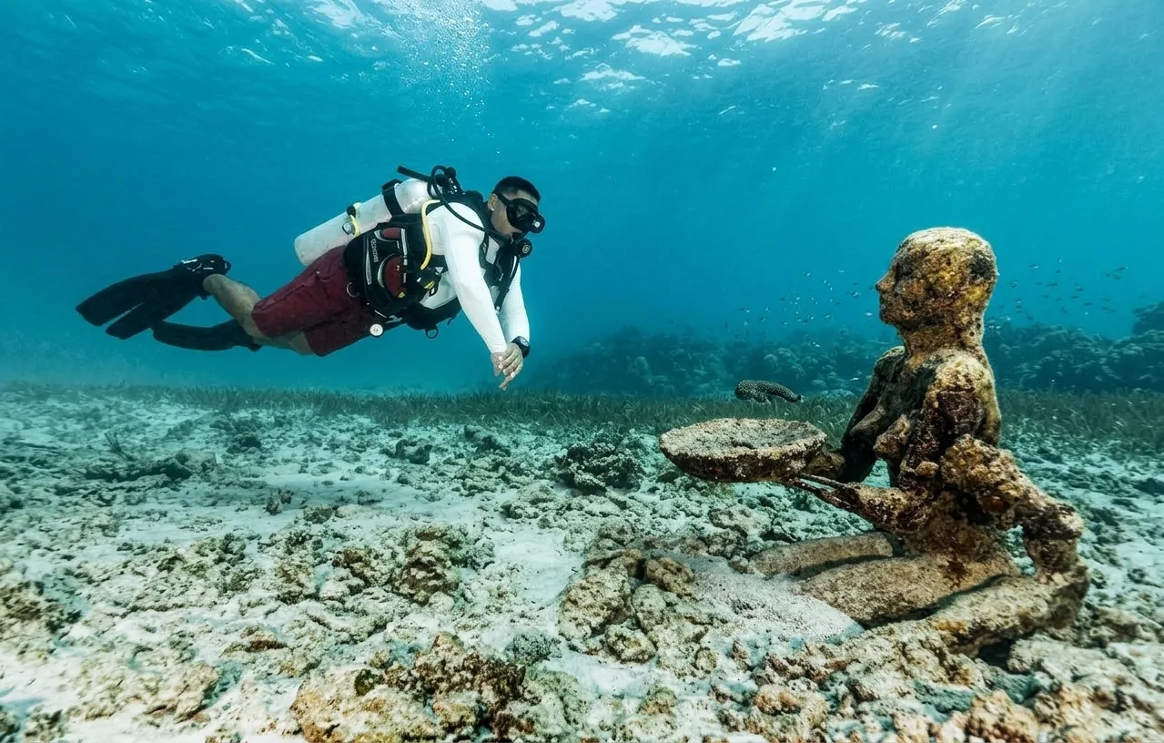 Eco Dive
