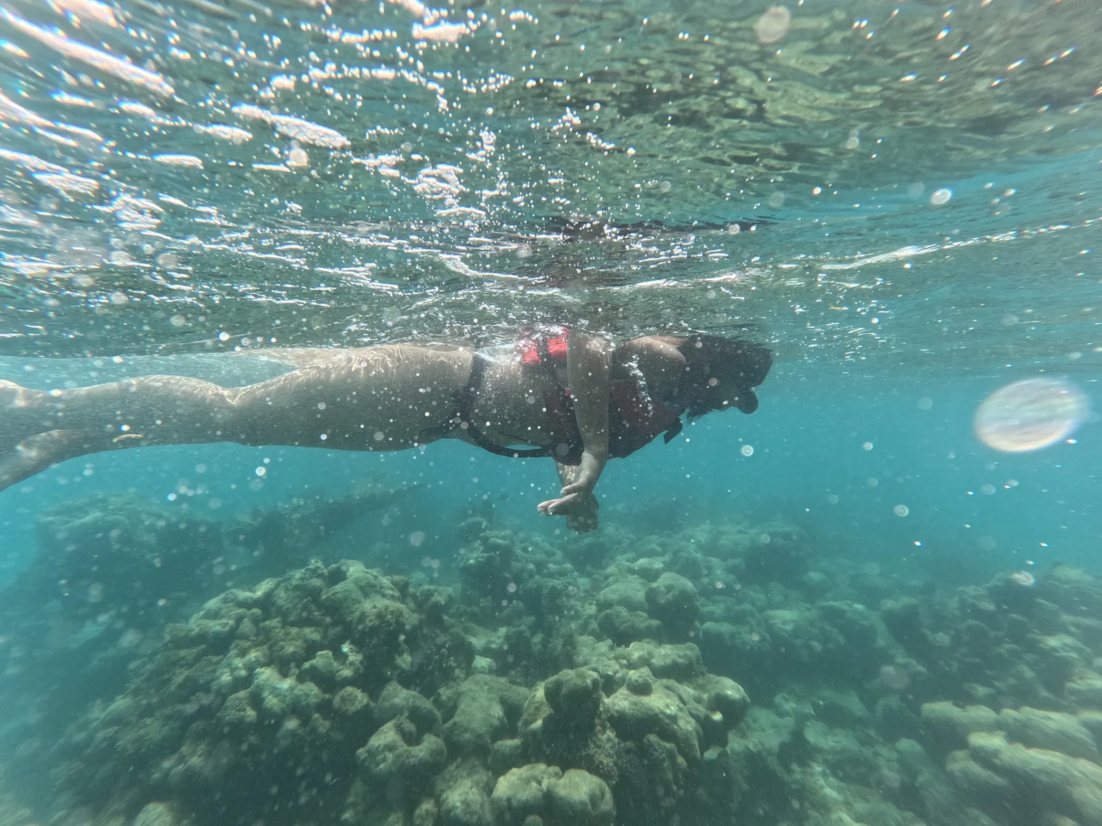 Snorkeling