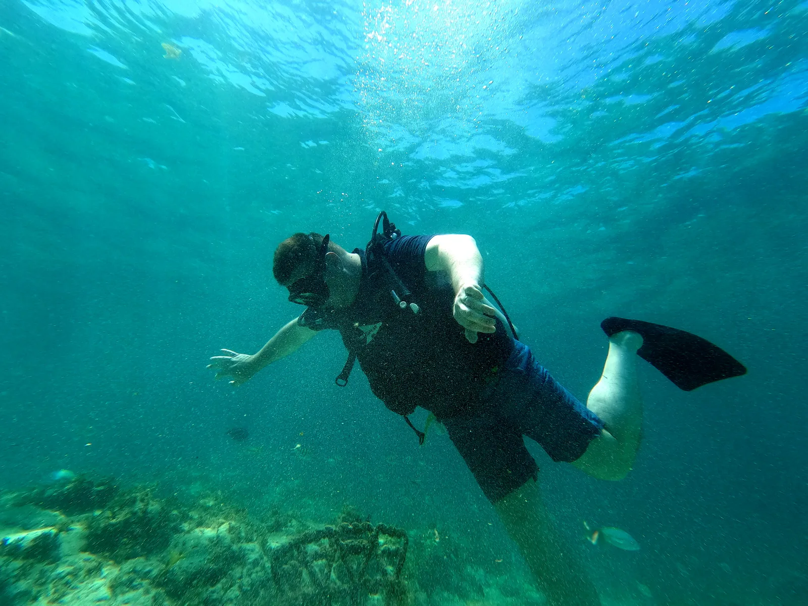 Buceo