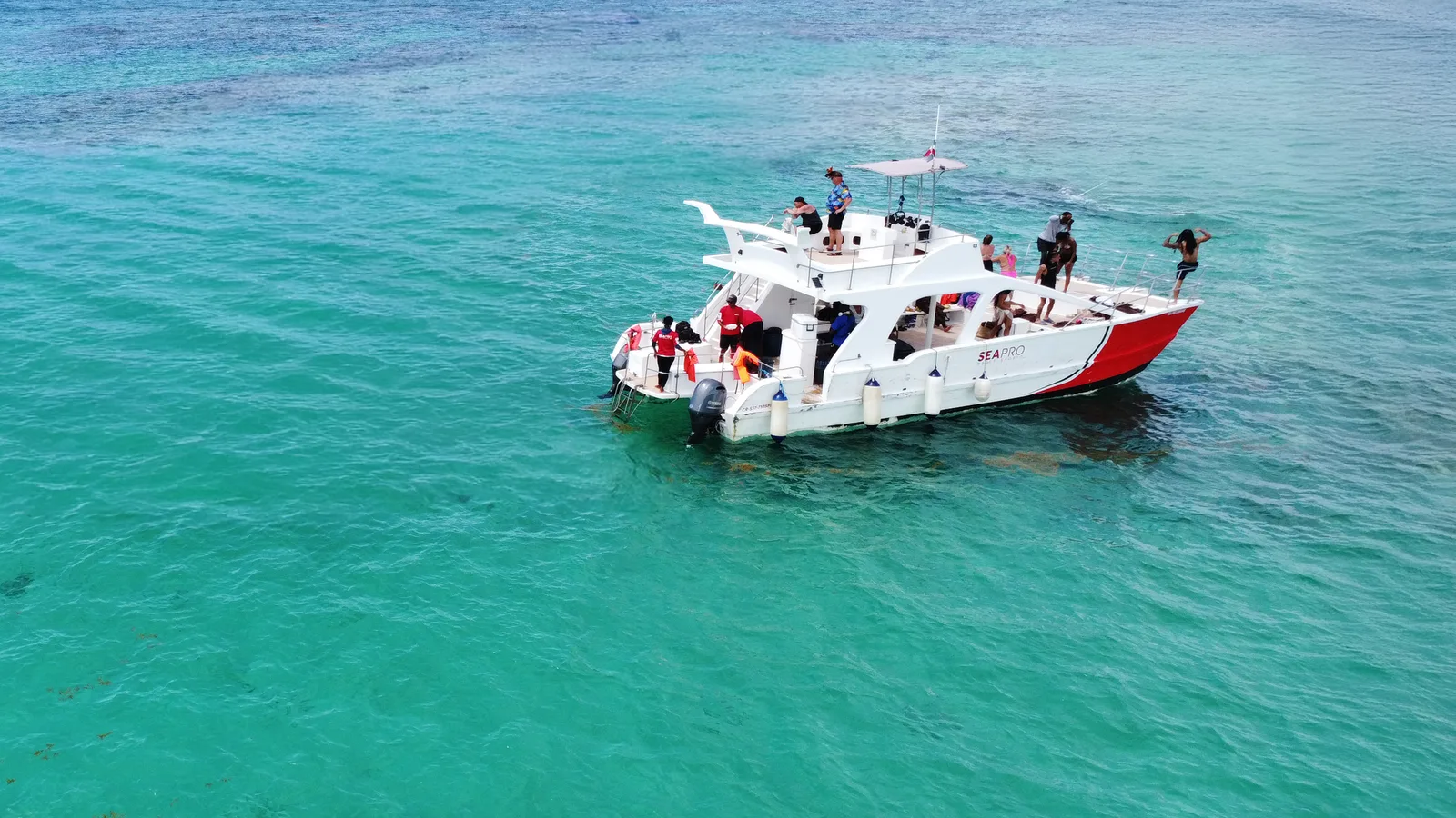 Saona